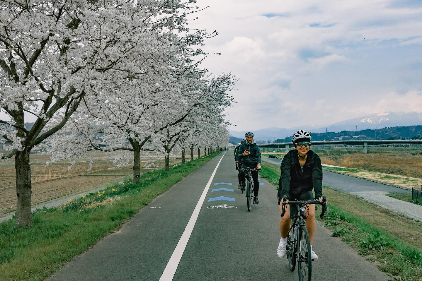 From Riverside Blooms to Coastal Serenity: Final Stages of the Sakura Ride