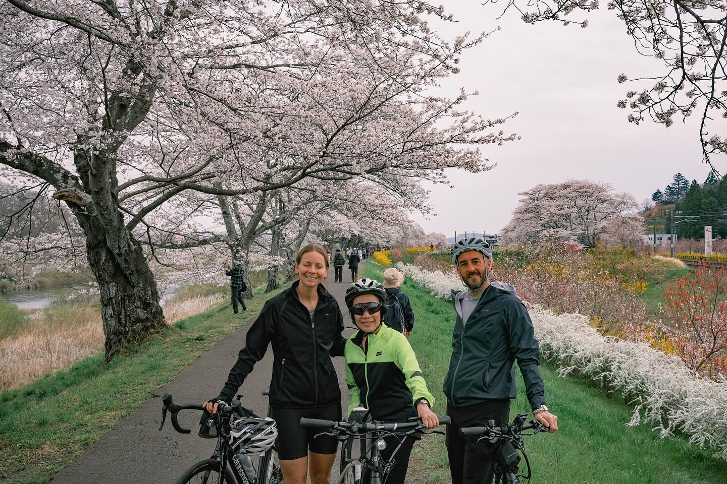 From Riverside Blooms to Coastal Serenity: Final Stages of the Sakura Ride