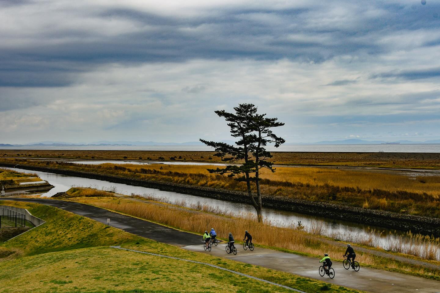 From Riverside Blooms to Coastal Serenity: Final Stages of the Sakura Ride
