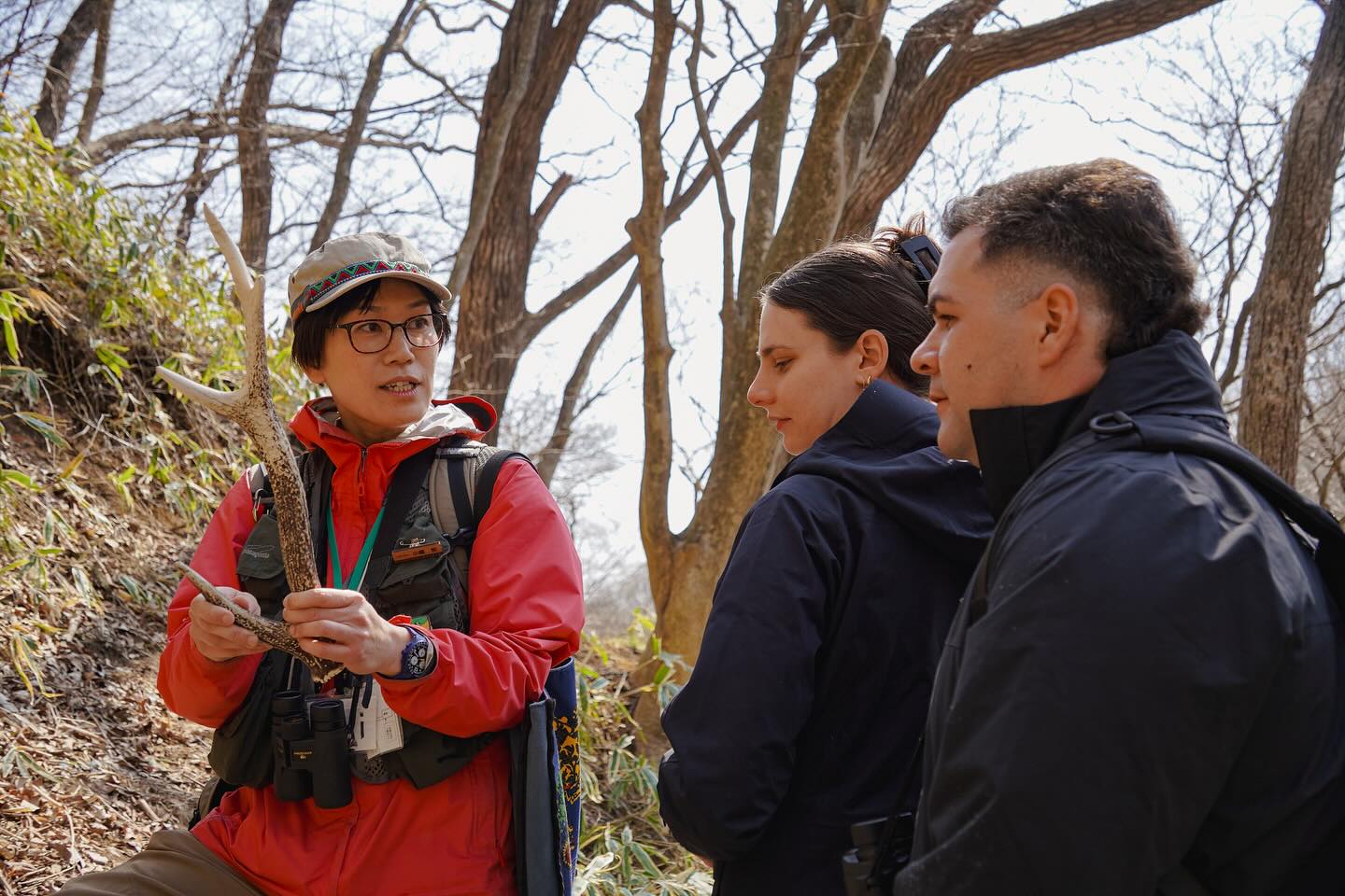 Biking to the Peaks, Hiking Through Nature: Nasu’s Hidden Charms
