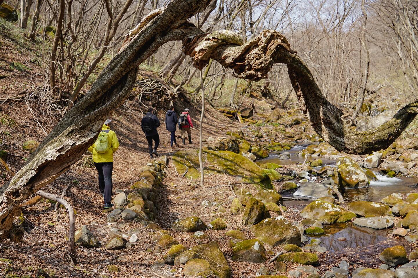 Biking to the Peaks, Hiking Through Nature: Nasu’s Hidden Charms